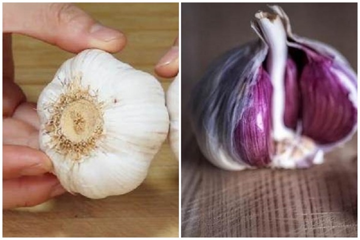 Tỏi vỏ trắng hay vỏ tím tốt hơn?