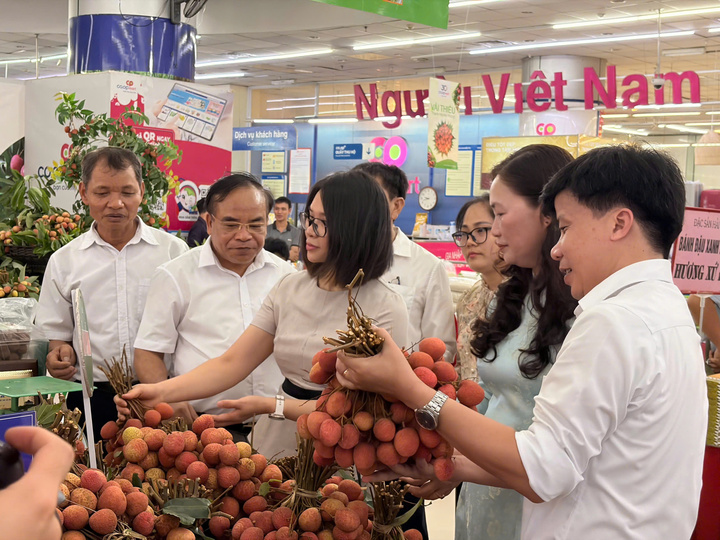 Vải Thanh Hà được trưng bày nổi bật tại hệ thống Co.opmart với chương trình ưu đãi giảm giá đến 20%.