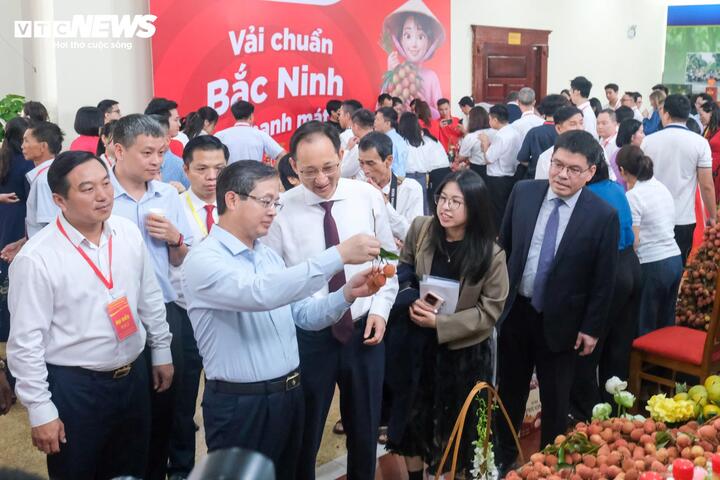 Bắc Ninh hiện có 241 mã số vùng trồng xuất khẩu với diện tích hơn 17.450 ha, đưa khoảng 42.700 tấn vải thiều xuất khẩu.