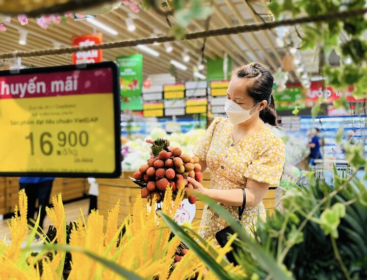Saigon Co.op đưa 300 tấn vải vào hệ thống, giảm giá tốt góp phần lan tỏa giá trị nông sản Việt.