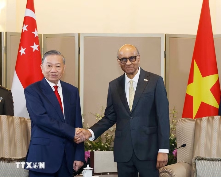Tổng Bí thư, Chủ tịch nước Tô Lâm và Tổng thống Singapore Tharman Shanmugaratnam. (Ảnh: TTXVN)