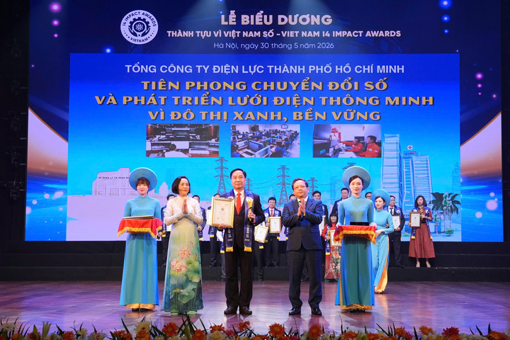 Ông Nguyễn Thanh Nhã – Phó Tổng Giám đốc EVNHCMC - đại diện Tổng công ty nhận giải thưởng.