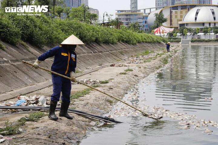 Giữa cái nắng oi ả, các công nhân trong trang phục bảo hộ kín người, chân đi ủng cao su, lặng lẽ làm việc dọc bờ hồ. Mồ hôi nhễ nhại, họ dùng những chiếc vợt cán dài thu gom từng mẻ cá chết và rác thải đưa lên bờ, nỗ lực khắc phục tình trạng ô nhiễm.