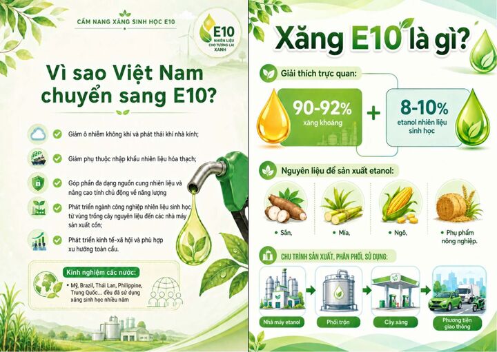 Bộ Công Thương công bố Cẩm nang sử dụng xăng E10 - 4