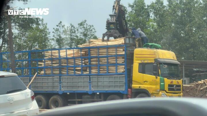 Một trạm cân thu mua keo tràm trái phép khác nằm trên tuyến tỉnh lộ 14E (xã Lộc An, TP Huế) cách trạm cân trái phép kể trên chỉ vài km.