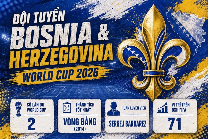 Thông tin đội tuyển Bosnia & Herzegovina.