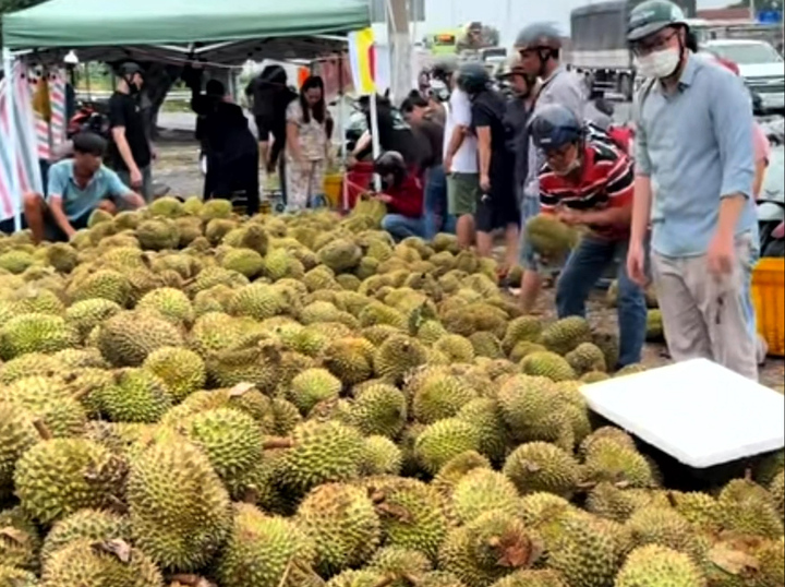 Một điểm bán sầu riêng giá rẻ thu hút nhiều người ghé mua.