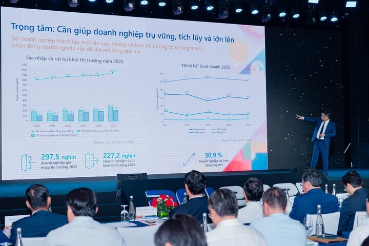 Dù chiếm hơn 96% tổng số doanh nghiệp đang hoạt động, phần lớn doanh nghiệp tư nhân Việt Nam vẫn có quy mô nhỏ và siêu nhỏ, đối mặt với nhiều thách thức về thị trường, vốn và năng lực quản trị.