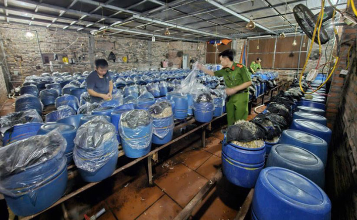 Lực lượng chức năng kiểm tra tại cơ sở sản xuất giá đỗ.