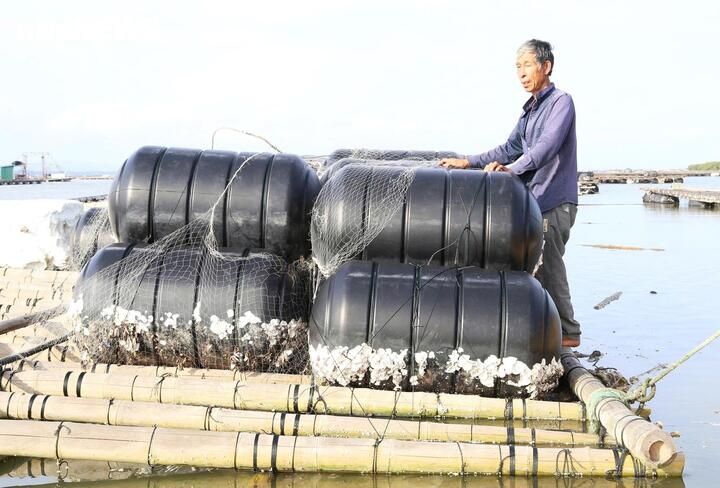 Chi phí đầu tư phao nhựa lớn nhưng thời hạn sử dụng ngắn cũng là gánh nặng với người nuôi hàu tại cửa sông Bắc Luân.