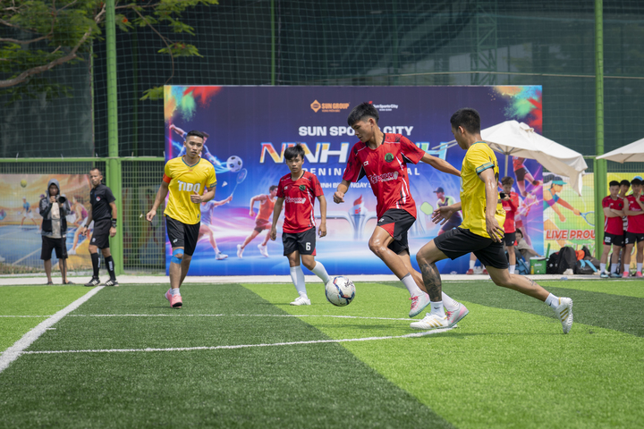 Sun Sports City Ninh đa dạng với 7 bộ môn thể thao.