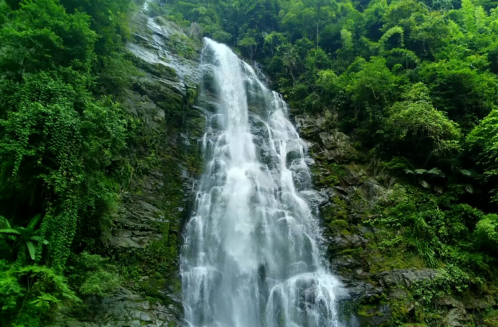 Trà không đường TH true TEA được sản xuất từ những lá trà hoàn toàn tự nhiên, ủ kỹ lưỡng bằng nguồn nước tinh khiết từ mạch nước ngầm núi lửa triệu năm tại Núi Tiên (Nghệ An) mang đến trải nghiệm thưởng thức đậm đà, thanh mát khi sử dụng.