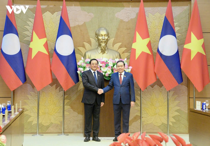Chủ tịch Quốc hội Trần Thanh Mẫn hội kiến Thủ tướng Lào - 3