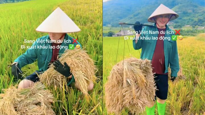 Nhiều du khách quốc tế rất thích đến Việt Nam để trải nghiệm làm nông dân. (Ảnh chụp màn hình)