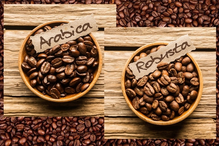 Giá cà phê Robusta và Arabica đồng loạt giảm. (Ảnh: Hayman Coffee)