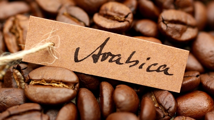 Giá cà phê thế giới hôm nay tăng mạnh. (Ảnh: 1Zpresso)