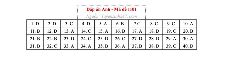 Gợi ý đáp án môn tiếng Anh mã đề 1101.