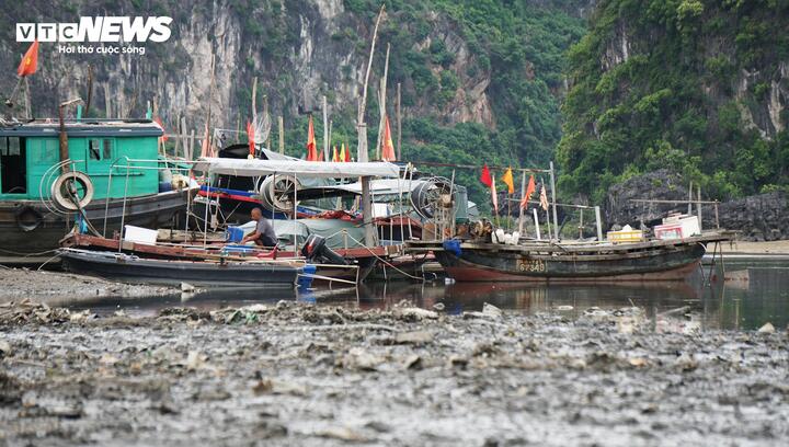 Tình trạng bồi lắng luồng lạch tại cảng Cái Xà Cong kéo dài nhiều năm nay do đất đá theo dòng suối Khe Cá dồn về, gây khó khăn cho việc tàu thuyền vào neo đậu.