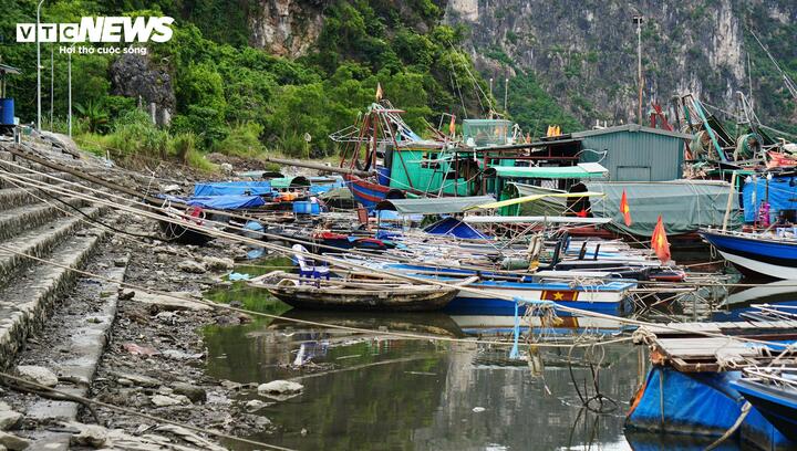 Khu vực cảng Cái Xà Cong (phường Hà Tu) thường xuyên trong tình trạng nước nông, chỉ những tàu nhỏ mới có thể neo đậu.
