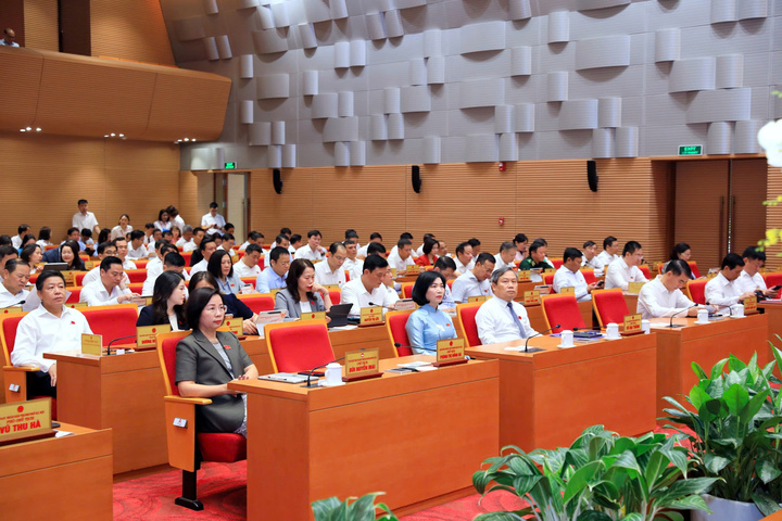 Các đại biểu tham dự kỳ họp.