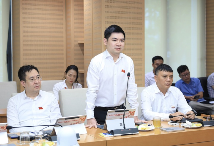Đại biểu Đỗ Vinh Quang phát biểu thảo luận.
