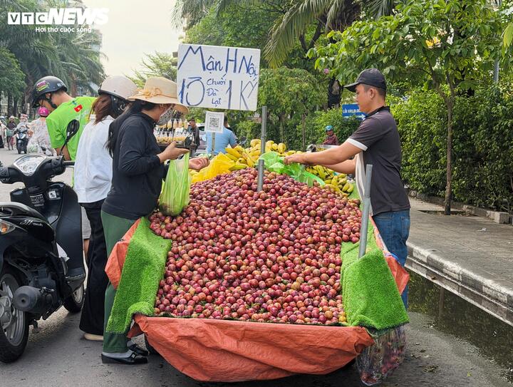 Nhiều loại trái cây đặc sản như mận hậu, vải thiều được bán với mức giá mềm hơn những năm trước.