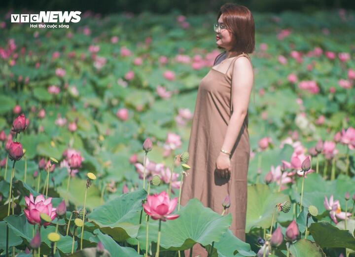 Những ngày qua, du khách thập phương không ngại đường xa, xúng xính diện váy vóc để lưu lại những khoảnh khắc đẹp nhất giữa cánh đồng sen Trà Lý đang vào độ đẹp nhất.