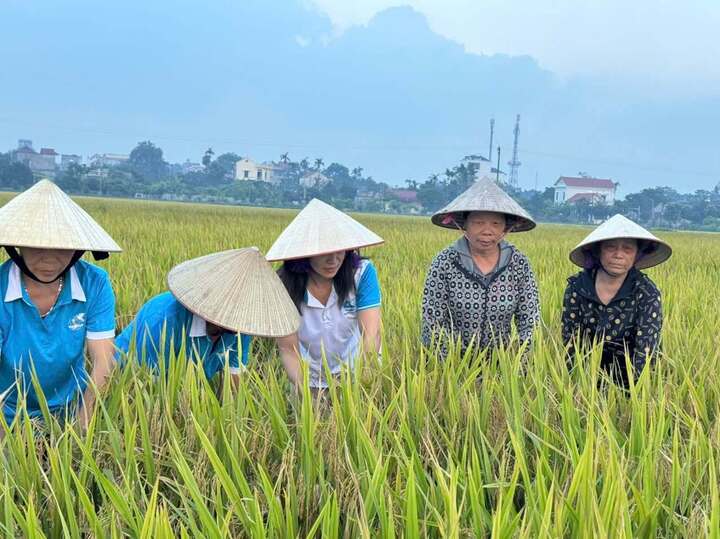 Là cấp gần dân nhất, đội ngũ trưởng thôn không chỉ triển khai chủ trương, chính sách mà còn trực tiếp lắng nghe, tháo gỡ những vướng mắc của người dân trong đời sống hàng ngày.