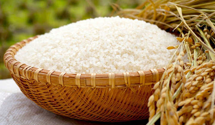 Giá lúa gạo hôm nay 17/6: Thị trường không nhiều biến động. (Ảnh minh họa)