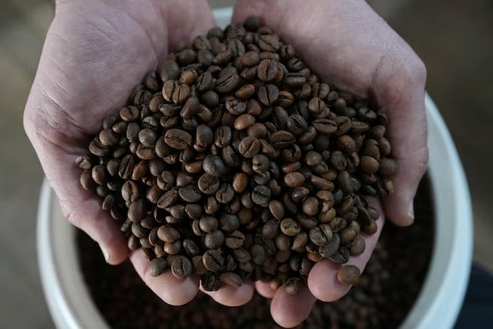 Giá cà phê Robusta đã có 6 phiên tăng liên tiếp. (Ảnh: Reuters)