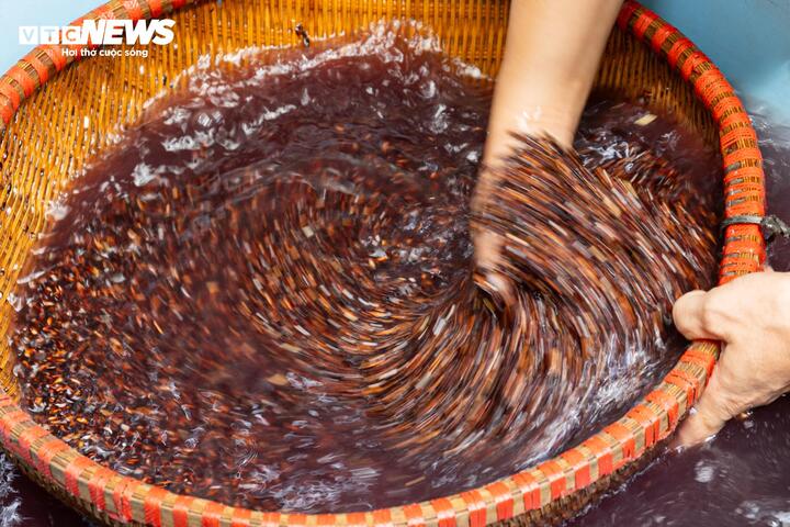 Sức mua tăng mạnh, người dân làng rượu nếp Phú Thượng tất bật dịp Tết Đoan ngọ - 9