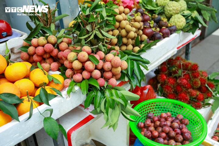 Đúng dịp chính vụ, vải thiều và mận hậu trở thành lựa chọn được nhiều người ưu tiên mua sắm. Hiện giá vải Thanh Hà dao động từ 60.000 - 80.000 đồng/kg, trong khi mận hậu loại đẹp được bán với mức 80.000 - 100.000 đồng/kg.