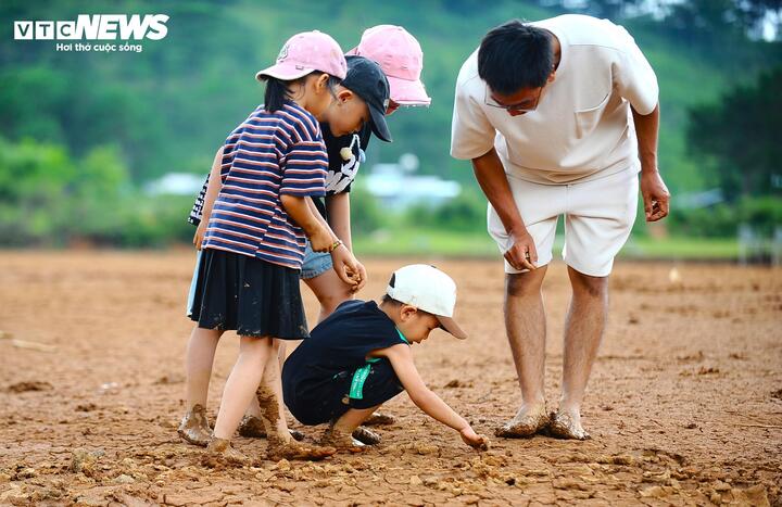 "Khối nghỉ hè" trải nghiệm bắt cá, mò ốc và tỏ ra rất thích thú dù bùn đất lấm lem.