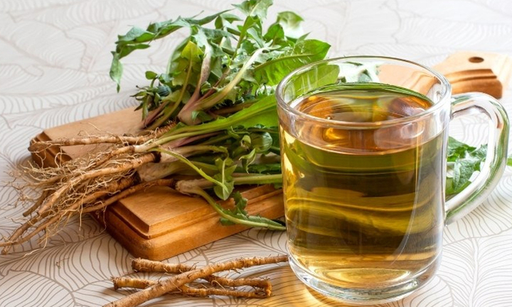 Bồ công anh có tác dụng tiêu viêm, tán nhiệt kết và hỗ trợ điều trị các bệnh lý viêm nhiễm (Ảnh minh họa)