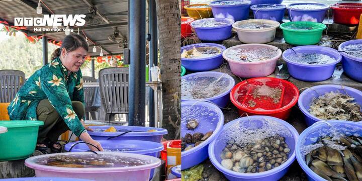 Một ngày ở Bãi Xếp bắt đầu từ rất sớm bởi không khí lao động, tiếng động cơ ghe thuyền máy trở về sau đêm dài đánh bắt. Những nụ cười của ngư dân khi đón mẻ cá, mực, ốc... tươi rói.