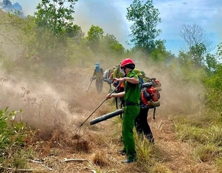 Đến tối 22/6 đám cháy tại xã Thiên Nhẫn cơ bản đã được khống chế.