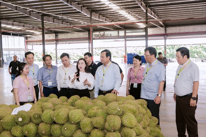 Bà Ngô Tường Vy (áo trắng ở giữa) đề xuất đầu tư các trung tâm kiểm nghiệm ngay tại vùng nguyên liệu để kiểm soát chất lượng sầu riêng từ gốc.