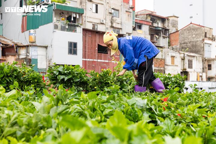 Hà Nội tăng tốc thi công đường 'đắt nhất hành tinh', quyết thông xe trước 2/9 - 7