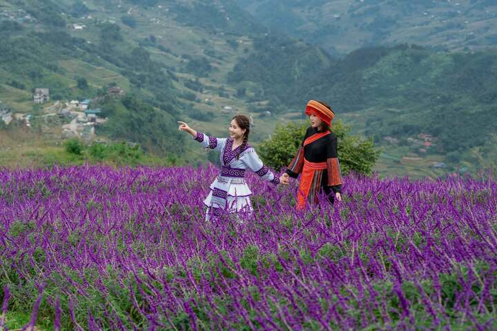 Sa Pa mùa lúa xanh: Chiêm ngưỡng 'tấm thảm xanh' mướt mắt giữa đại ngàn - 3