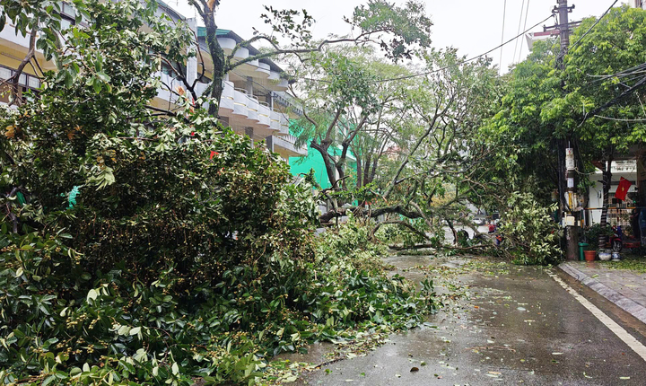 Nhiều tuyến phố việc lưu thông gần như tê liệt do cây xanh gãy đổ hàng loạt.