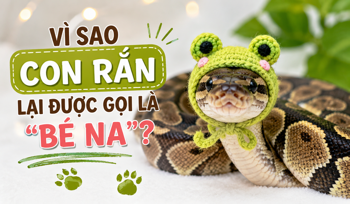 “Bé Na” là cách gọi vui dành cho rắn trên mạng xã hội. (Ảnh: AI)