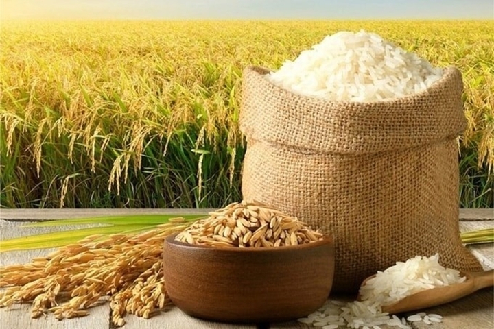 Giá lúa tăng, gạo nhích nhẹ. (Ảnh minh họa)