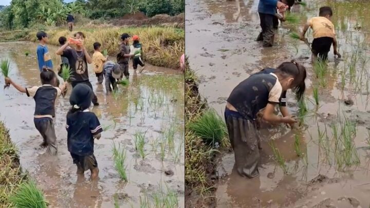 Dân mạng không ngớt lời khen các em nhỏ, mong gia đình sớm "ban thưởng" vài ly trà sữa đầy đủ trân châu. (Ảnh chụp màn hình)