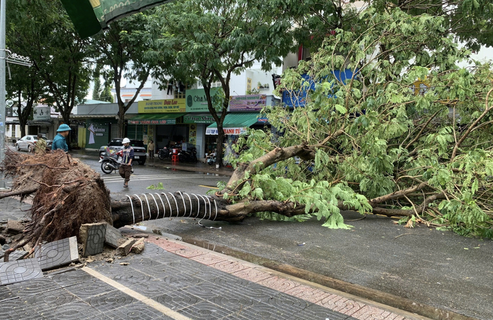Mưa gió quật ngã nhiều cây xanh, đè trúng ô tô ở TP.HCM - 4 Mưa gió quật ngã nhiều cây xanh, đè trúng ô tô ở TP.HCM - 4