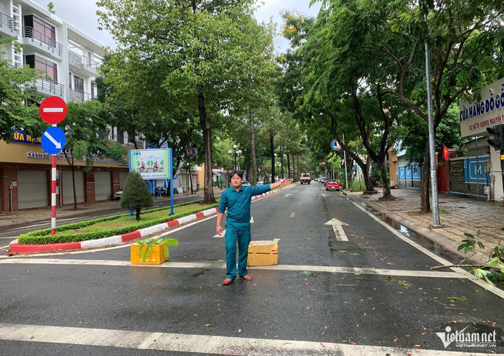Mưa gió quật ngã nhiều cây xanh, đè trúng ô tô ở TP.HCM - 6 Mưa gió quật ngã nhiều cây xanh, đè trúng ô tô ở TP.HCM - 6