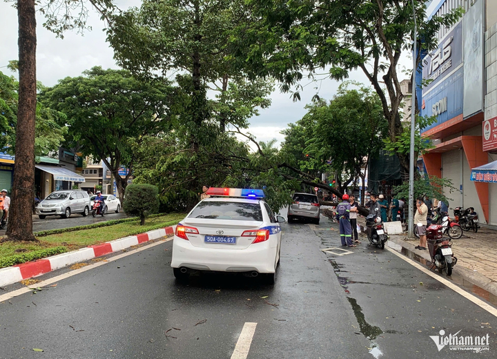 Lực lượng chức năng phân luồng giao thông qua khu vực cây ngã đổ. (Ảnh: Q.H) Lực lượng chức năng phân luồng giao thông qua khu vực cây ngã đổ. (Ảnh: Q.H)