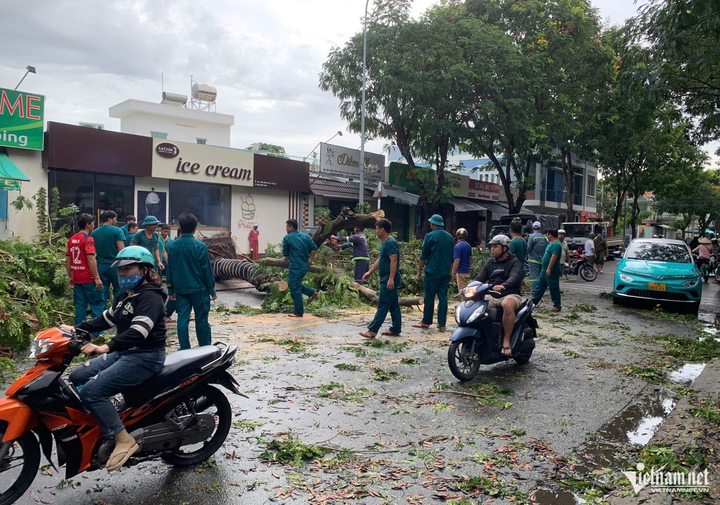 Lực lượng dân quân tự vệ xử lý cây xanh ngã đổ trên đường Điện Biên Phủ. Đến khoảng 13h cùng ngày, hiện trường cây xanh ngã đè ô tô vẫn đang được xử lý. (Ảnh: Q.H) Lực lượng dân quân tự vệ xử lý cây xanh ngã đổ trên đường Điện Biên Phủ. Đến khoảng 13h cùng ngày, hiện trường cây xanh ngã đè ô tô vẫn đang được xử lý. (Ảnh: Q.H)