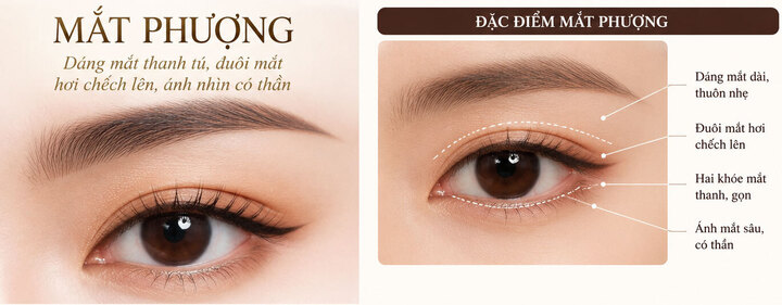 Mắt phượng được xem là một trong những chuẩn mực của vẻ đẹp phương Đông.