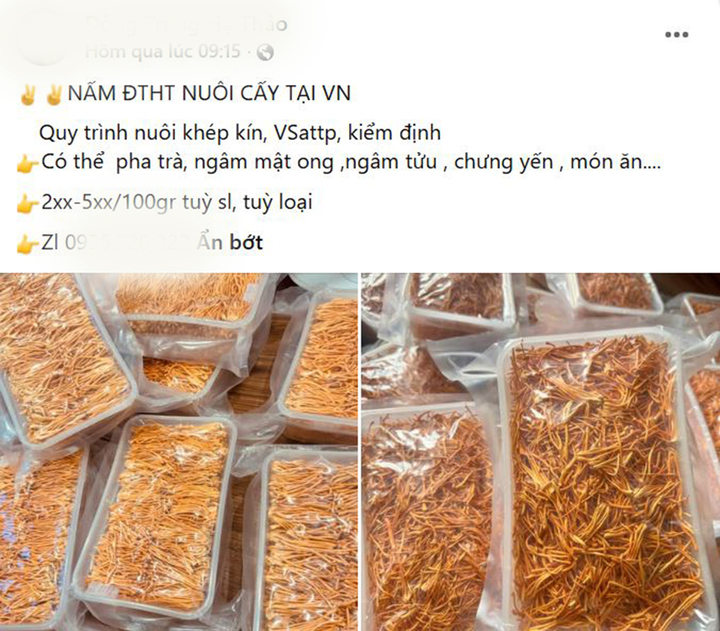 Người tiêu dùng gần như không thể phân biệt đông trùng hạ thảo chất lượng chỉ bằng mắt thường. (Ảnh chụp màn hình)