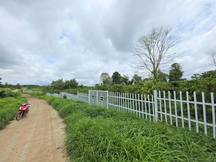 Khu đất được gọi "Làng An Yên".